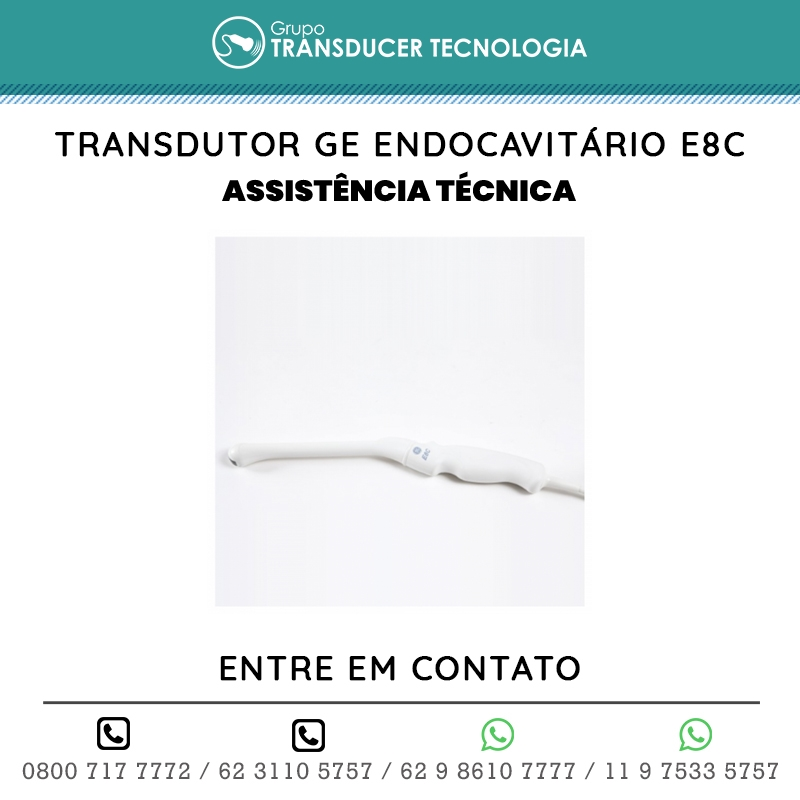ASSISTENCIA TECNICA TRANSDUTOR GE ENDOCAVITARIO E8C