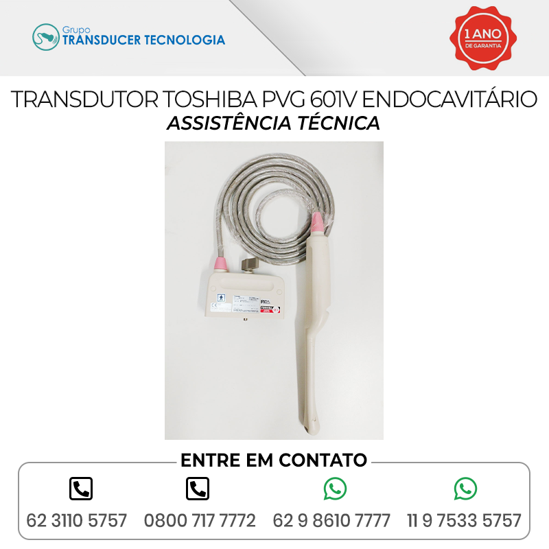 ASSISTENCIA TECNICA TRANSDUTOR TOSHIBA PVG 601V ENDOCAVITARIO