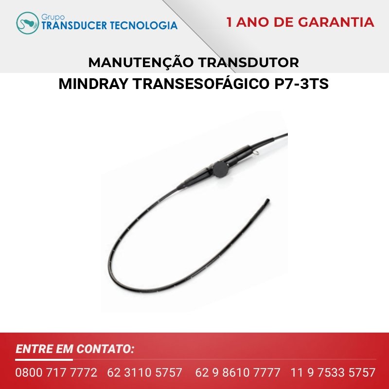 MANUTENCAO TRANSDUTOR MINDRAY TRANSESOFAGICO P7 3TS