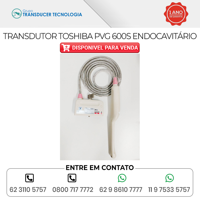 TRANSDUTOR TOSHIBA PVG 600S ENDOCAVITARIO DISPONIVEL PARA VENDA
