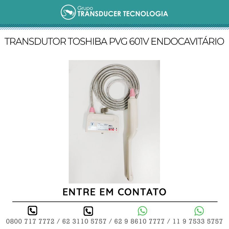 TRANSDUTOR TOSHIBA PVG 601V ENDOCAVITARIO