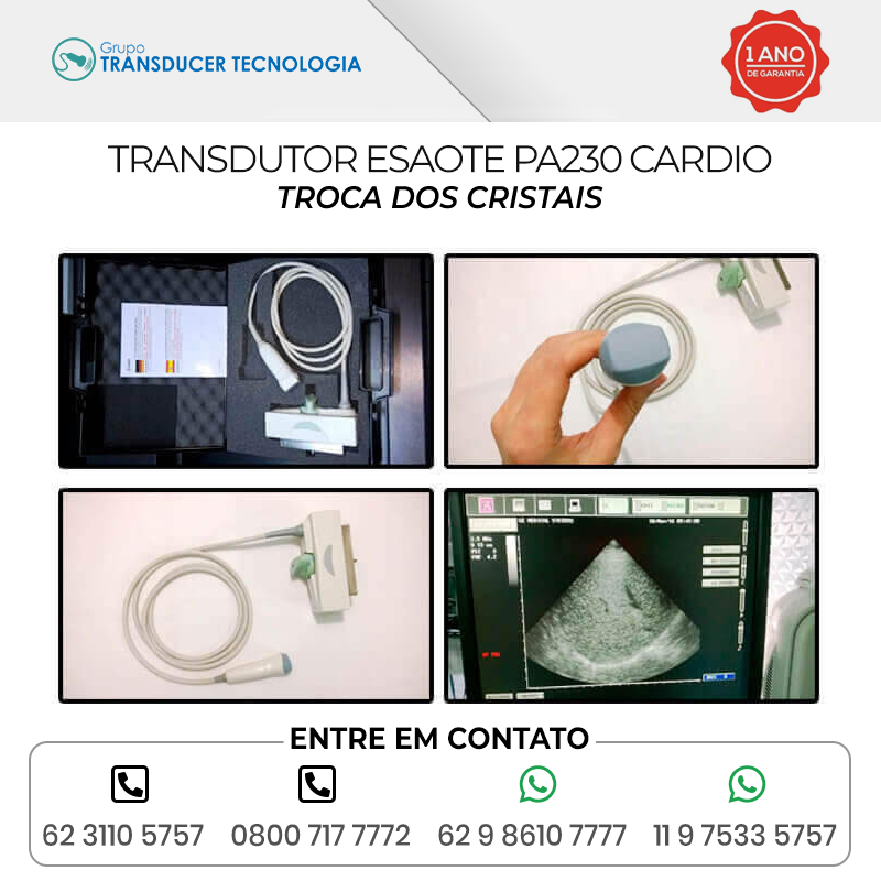 TROCA DOS CRISTAIS TRANSDUTOR ESAOTE PA230 CARDIO