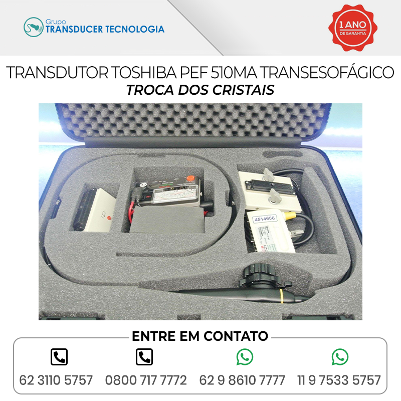 TROCA DOS CRISTAIS TRANSDUTOR TOSHIBA PEF 510MA TRANSESOFAGICO