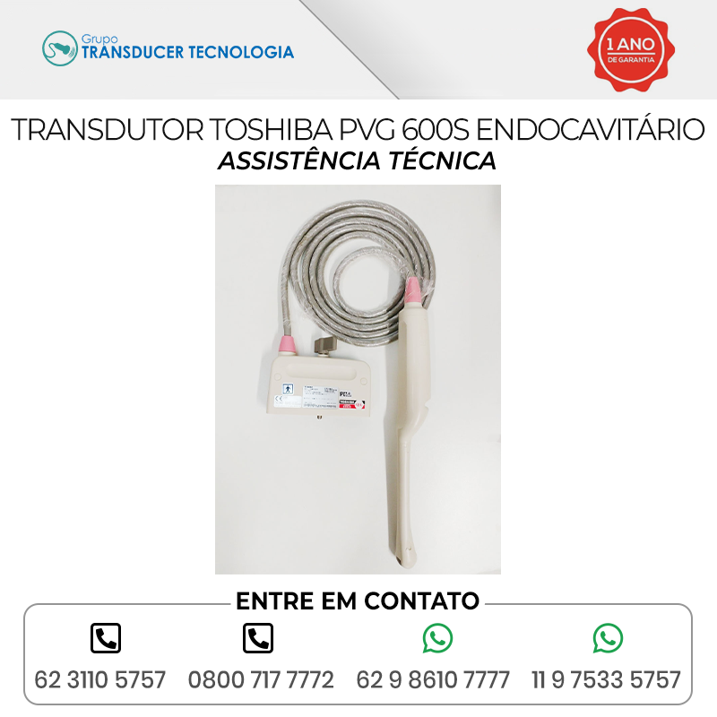 ASSISTENCIA TECNICA TRANSDUTOR TOSHIBA PVG 600S ENDOCAVITARIO