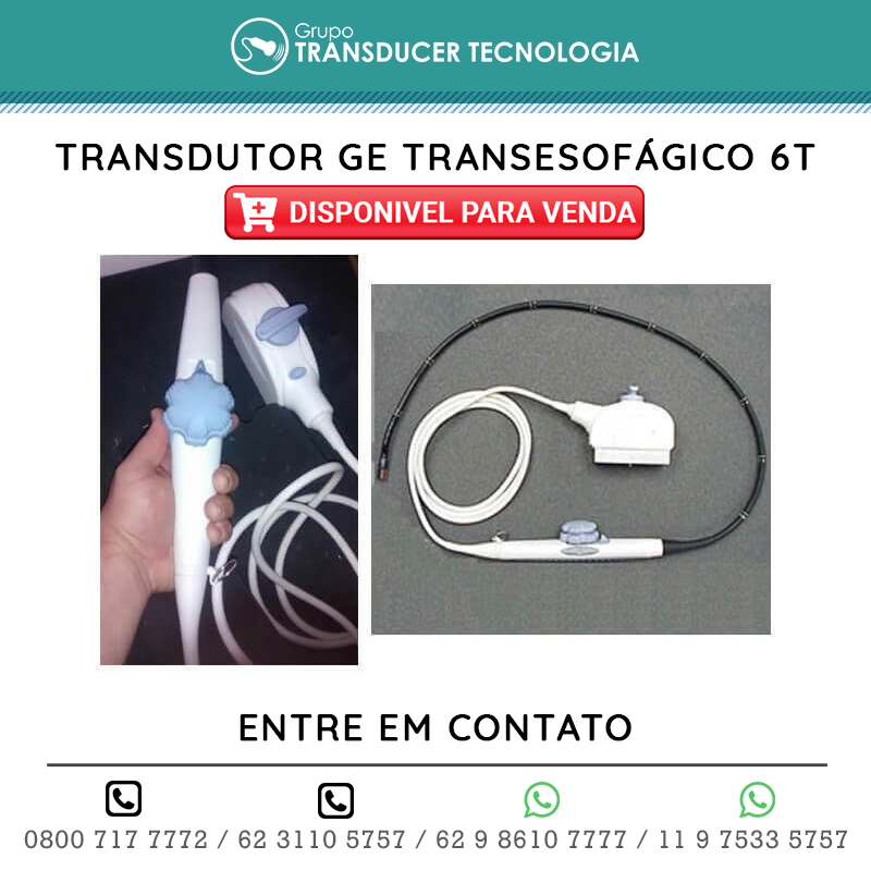 TRANSDUTOR GE TRANSESOFAGICO 6T DISPONIVEL PARA VENDA