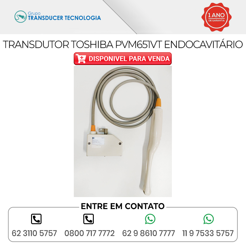 TRANSDUTOR TOSHIBA PVM 651VT ENDOCAVITARIO DISPONIVEL PARA VENDA