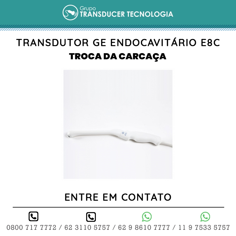 TROCA DA CARCACA TRANSDUTOR GE ENDOCAVITARIO E8C