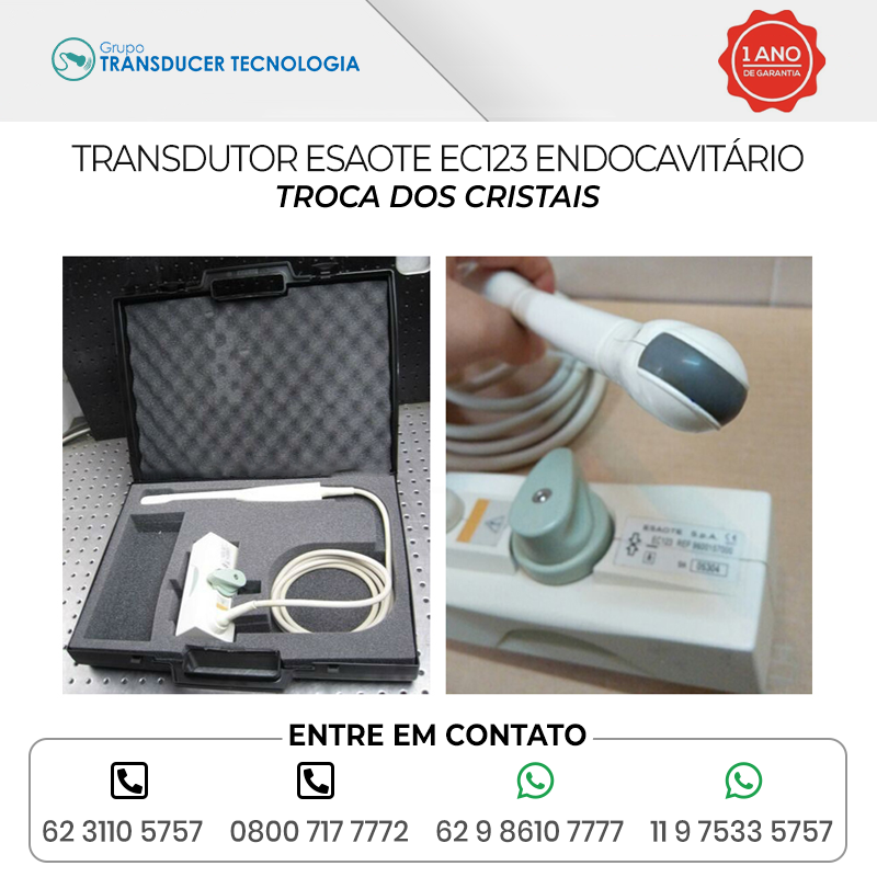 TROCA DOS CRISTAIS TRANSDUTOR ESAOTE EC123 ENDOCAVITARIO