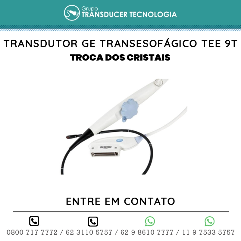 TROCA DOS CRISTAIS TRANSDUTOR GE TRANSESOFAGICO TEE 9T