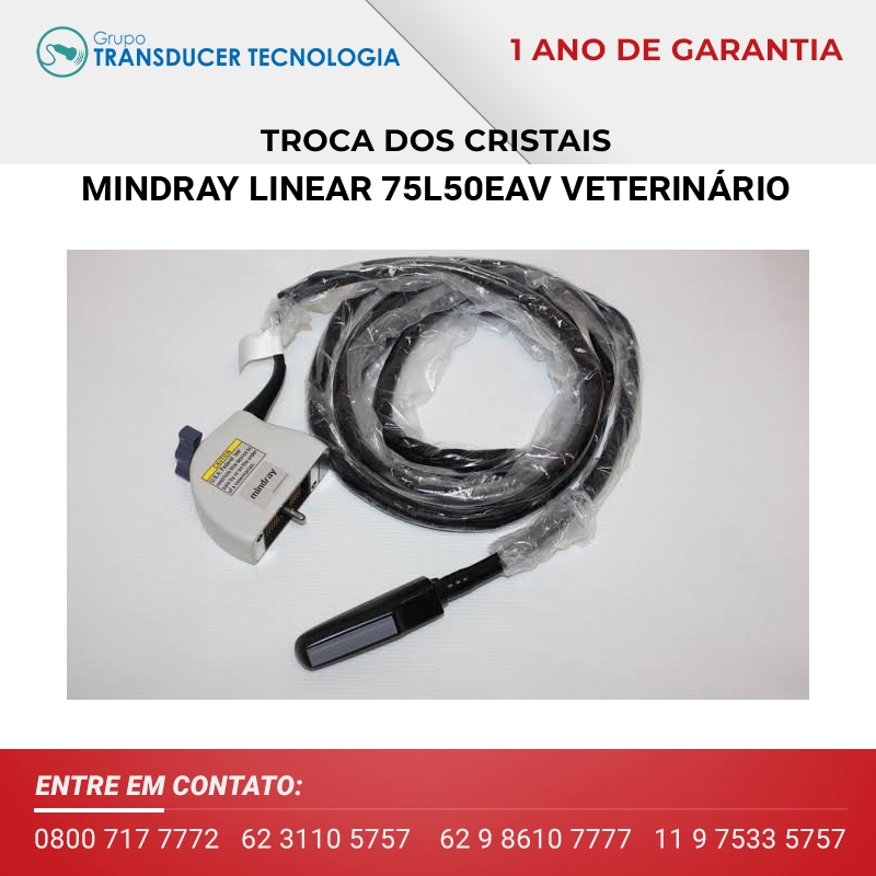 TROCA DOS CRISTAIS TRANSDUTOR MINDRAY LINEAR 75L50EAV VETERINARIO