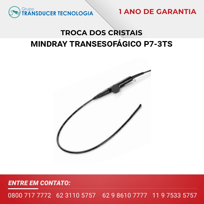 TROCA DOS CRISTAIS TRANSDUTOR MINDRAY TRANSESOFAGICO P7 3TS