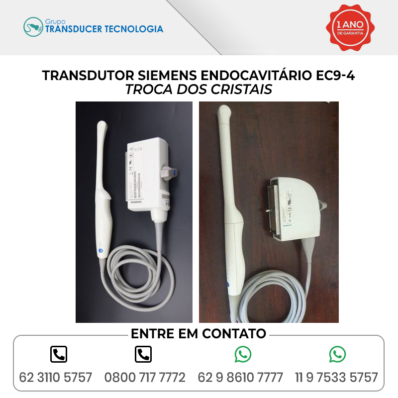 TROCA DOS CRISTAIS TRANSDUTOR SIEMENS ENDOCAVITARIO EC9 4