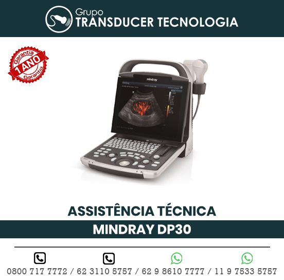 ASSISTENCIA TECNICA ULTRASSOM PORTATIL MINDRAY DP30